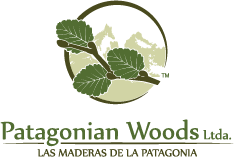 Patagonian Woods